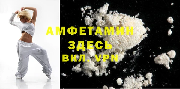 твердый Новодвинск