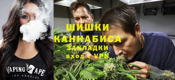 тгк Новокубанск
