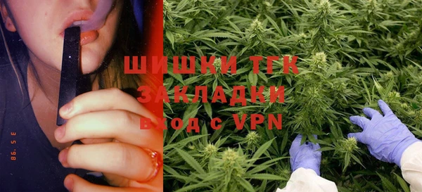 твердый Новодвинск