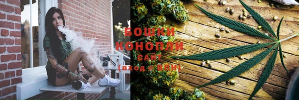гидропоника Няндома