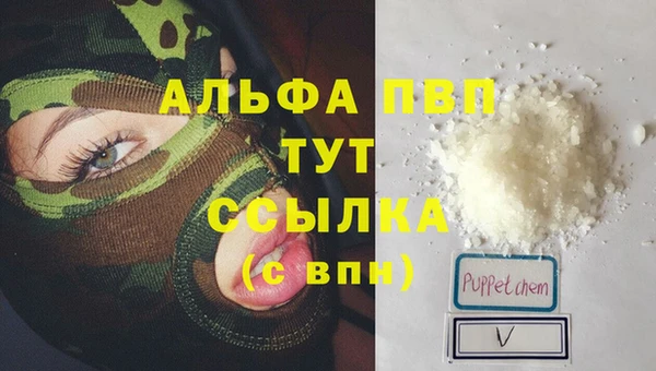 твердый Новодвинск