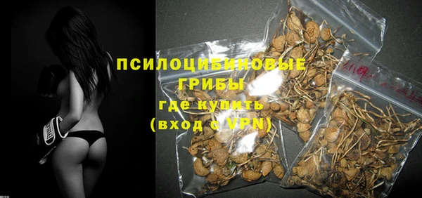 тгк Новокубанск