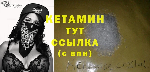 твердый Новодвинск