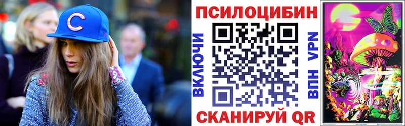 Псилоцибиновые грибы Psilocybe  Зубцов 